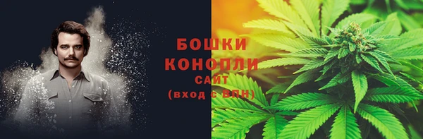 прущие грибы Алексеевка