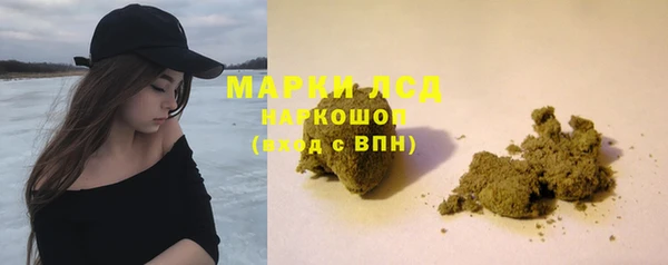 шишки Алзамай