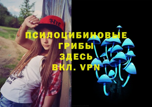 бошки Надым