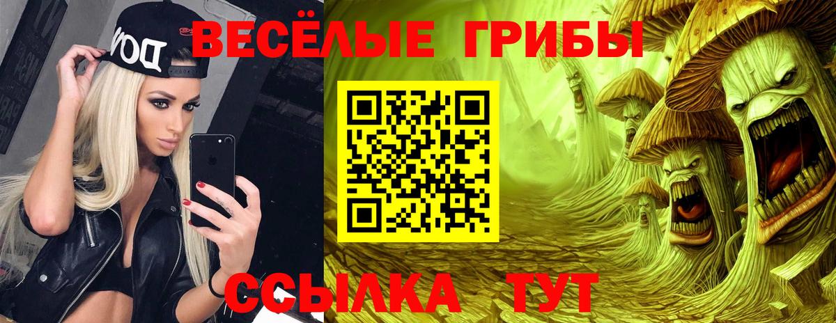 Псилоцибиновые грибы Psilocybine cubensis  Вход с VPN  Дзержинск 