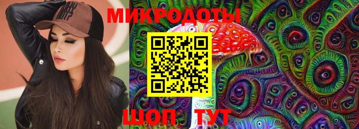 Псилоцибиновые грибы мицелий Дзержинск